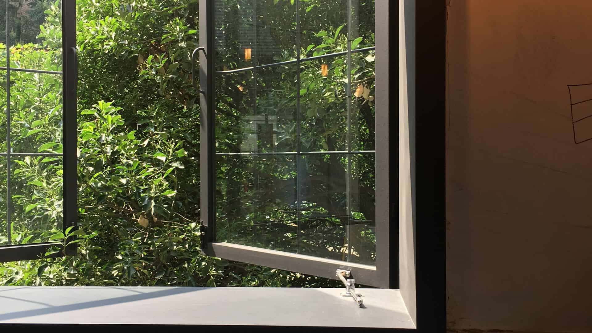 open-windows-trees-visible-outside